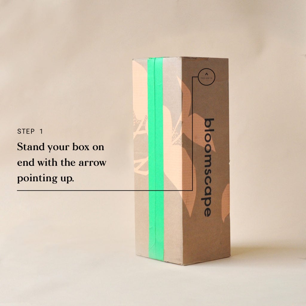 Indoor Plant Delivery Bloomscape Step 1