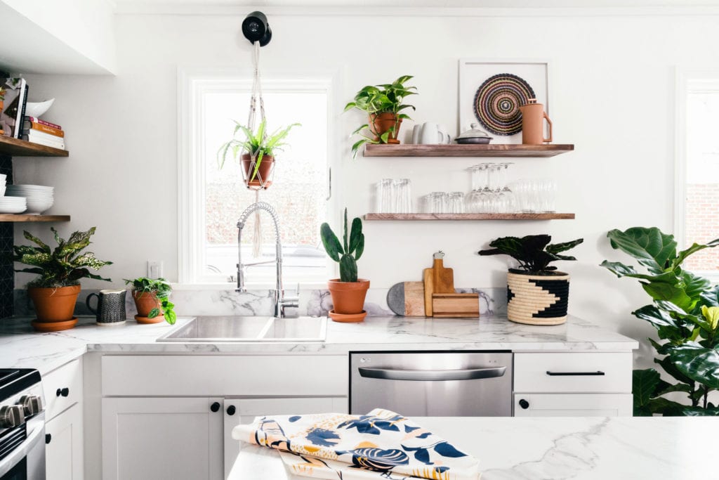 Increase humidity for plants