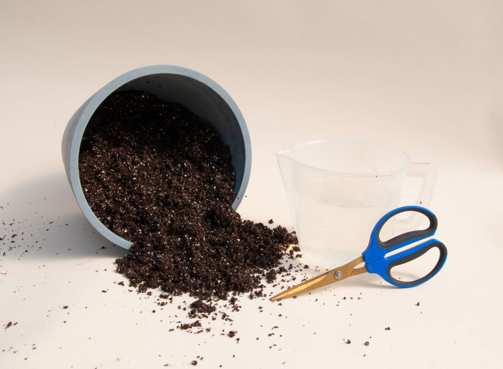 Plant Mom Pro Tips: How to Re-pot Your Plants