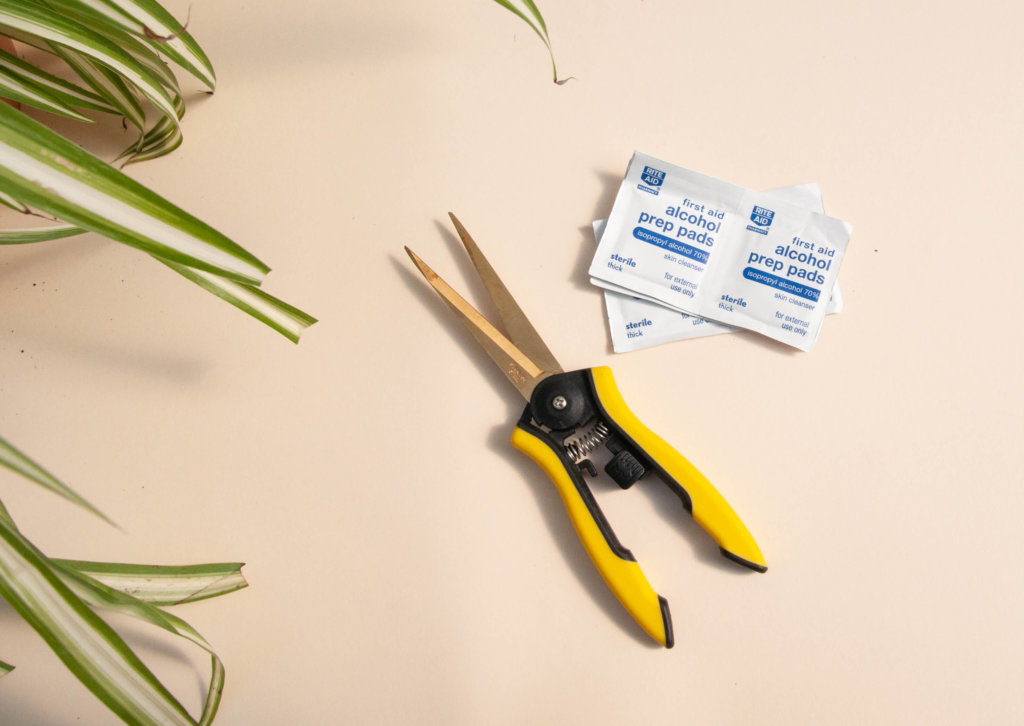 How To Trim Your Plants: Supplies