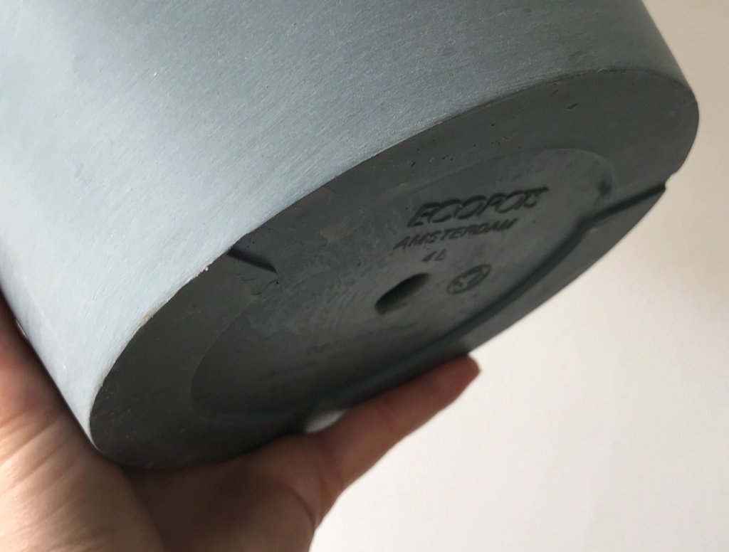 Plant Mom Pro Tips: How to Re-pot Your Plants