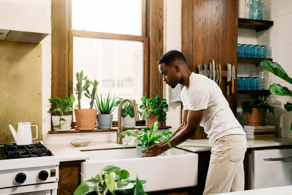Best Plants for the Kitchen: Bloomscape Your Space