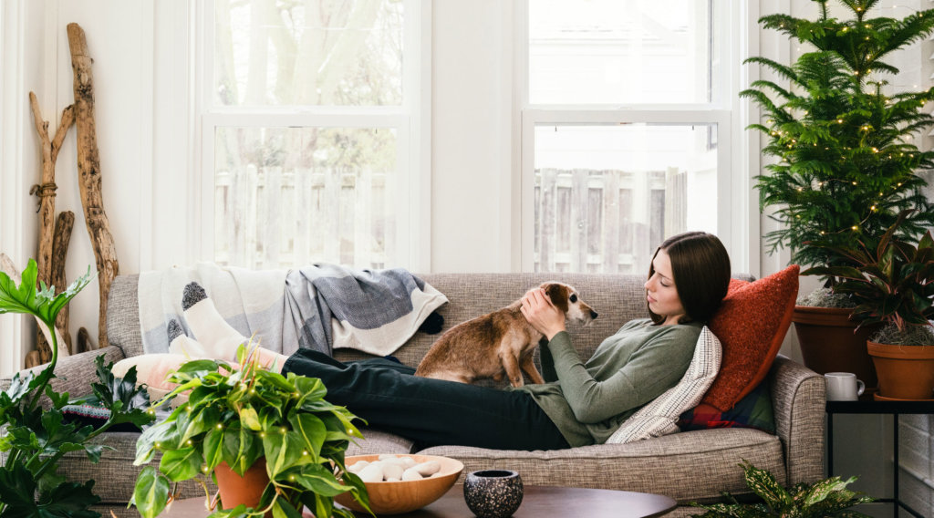 Bloomscape, Free Gift With Purchase