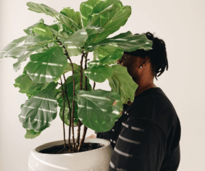 The Plant Care Chronicles: Ricky Dorn