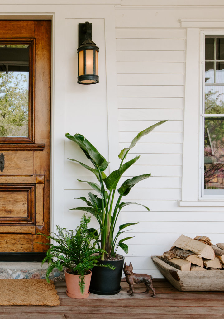 Moving Indoor Plants Outside for the Summer