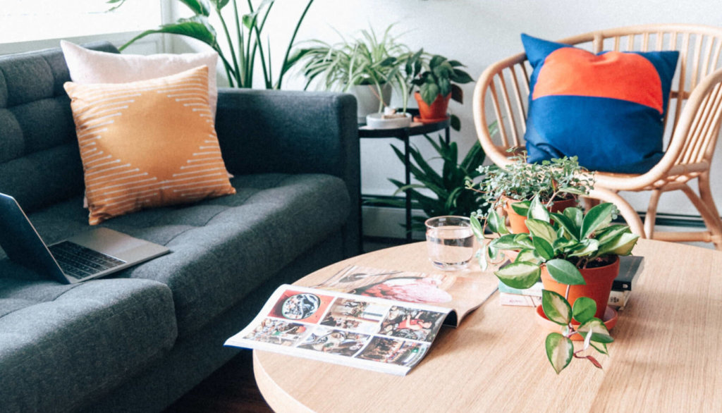 living room scene with plants on coffee table. a laptop computer is open on the couch.