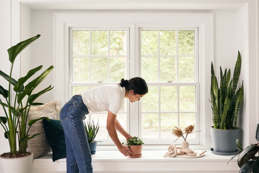 Woman placing a plant on a windowsill