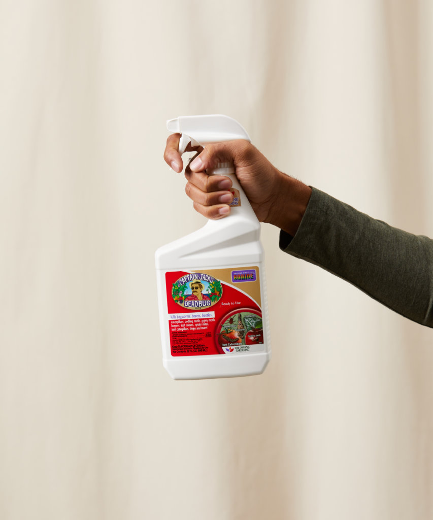 Buy Bloomscape's Captain Jacks Deadbug Brew