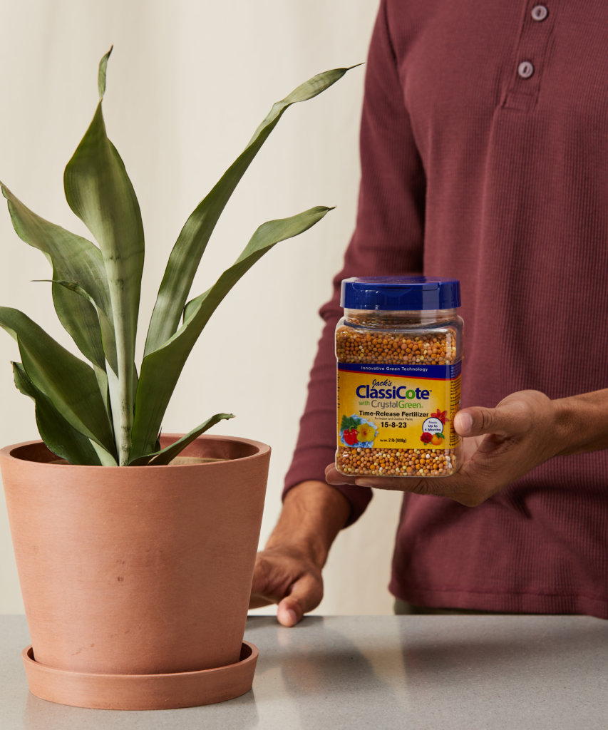 Buy Bloomscape Time Release ClassiCote Fertilizer