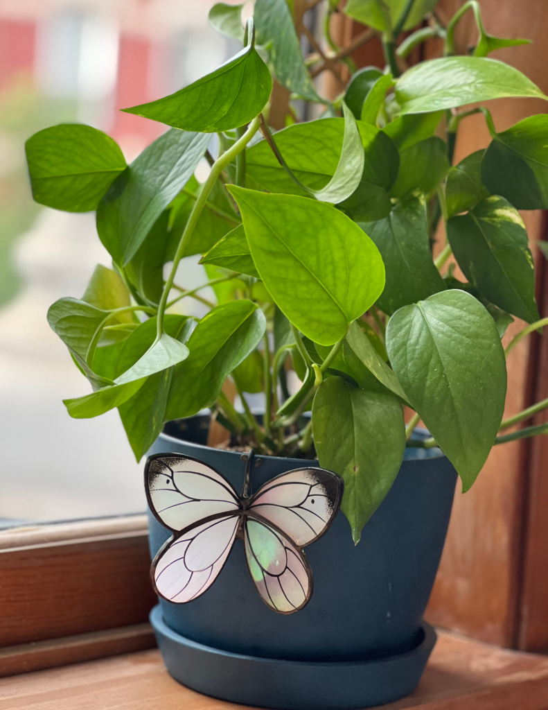 Avalglass White Butterfly Pot Hugger on Windowsill